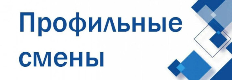 Летние профильные школы на базе университета УлГПУ им. И.Н. Ульянова.